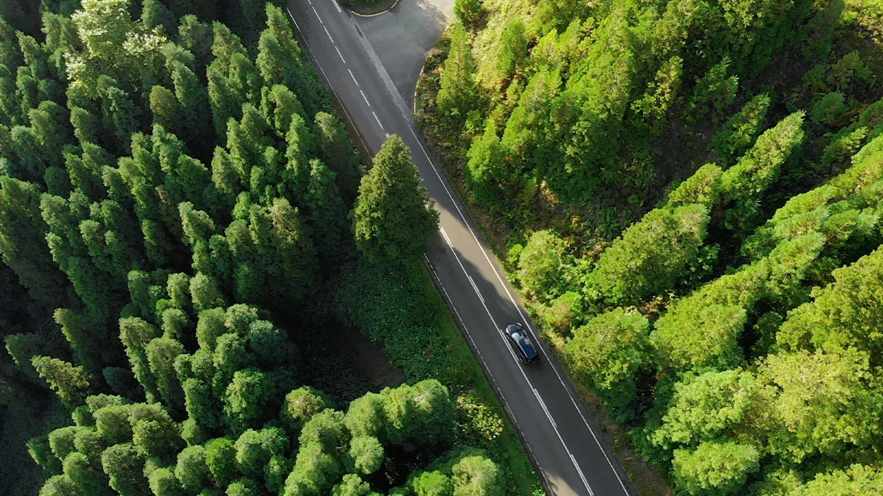Wayzor Açores - Cronómetro